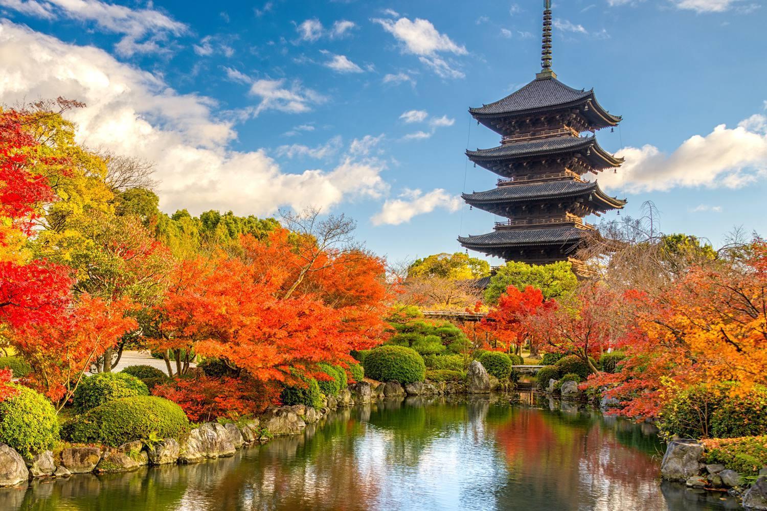 柏東寺1 Hakutoji1 Villa Kyoto Exteriör bild